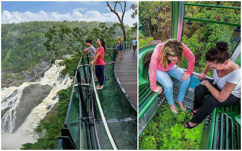 5 Ways To Explore The Most Of Kuranda!
